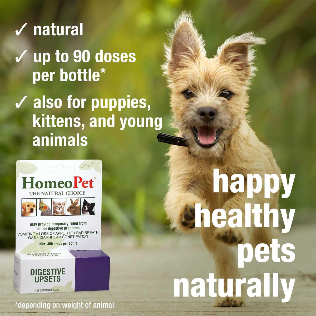 Pet Supplies C619