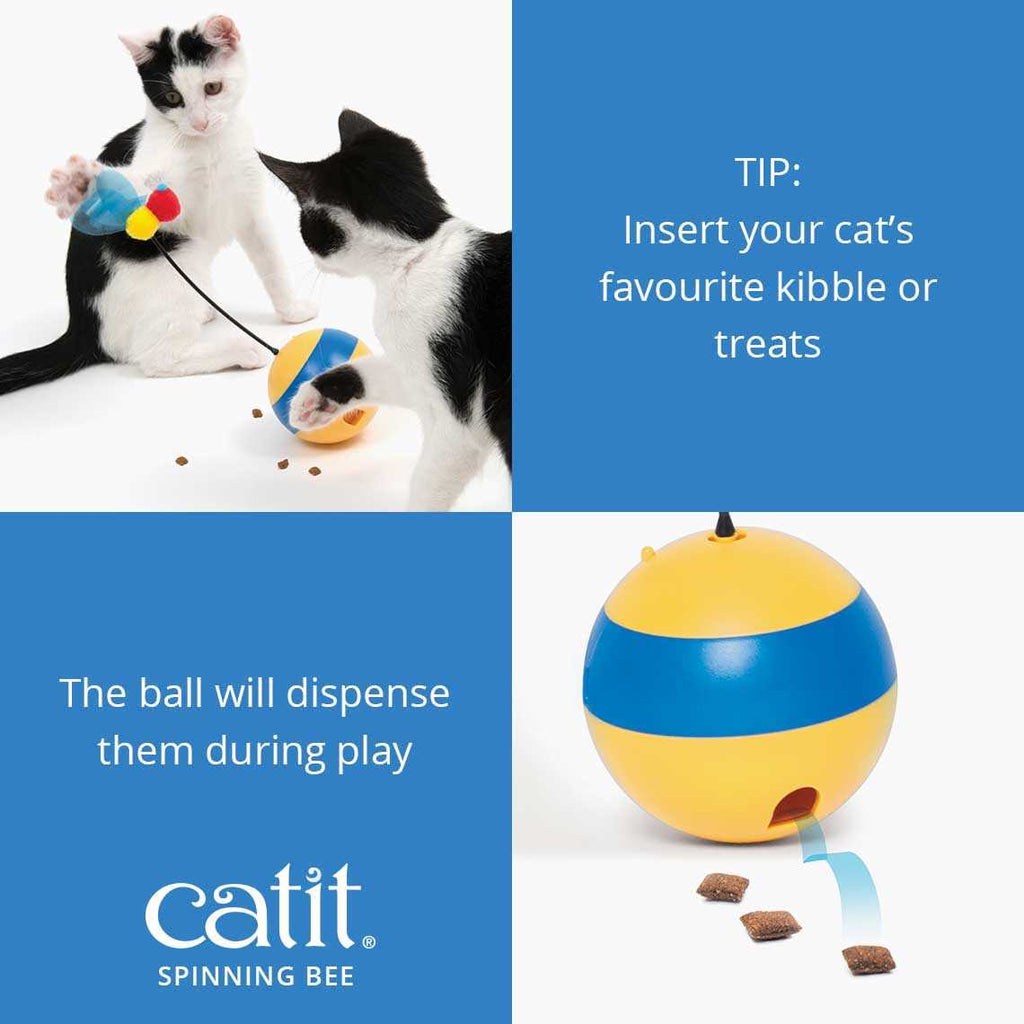 Interactive Cat Toy T570