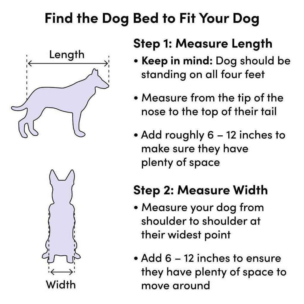 Pet Supplies A3489