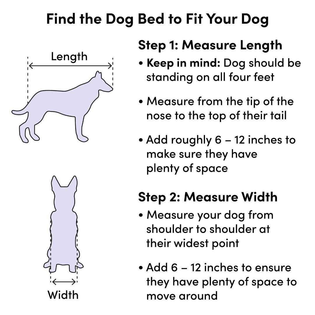 Pet Supplies A3489