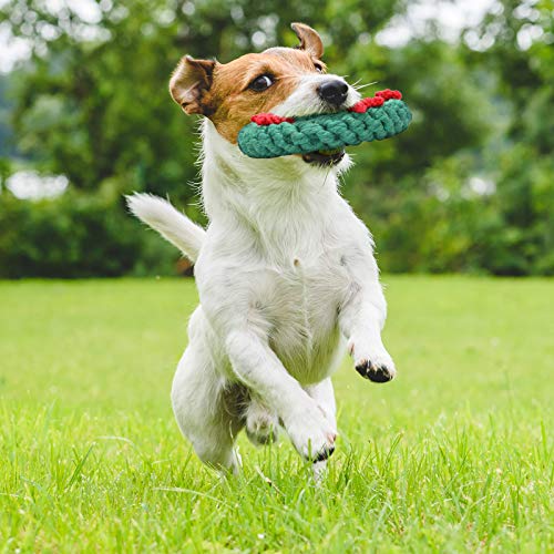 2 Pieces Dog Chew Toy and Candy Cane Rope Toy C592572