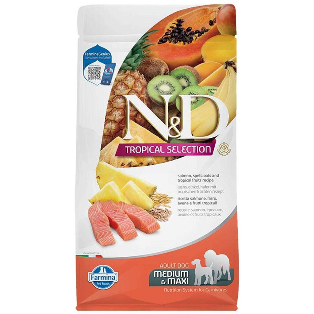 Salmon Adult Dog Food H49483