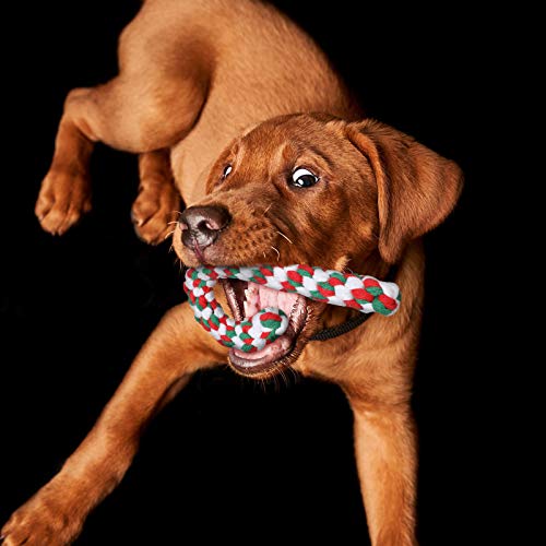 2 Pieces Dog Chew Toy and Candy Cane Rope Toy C592572