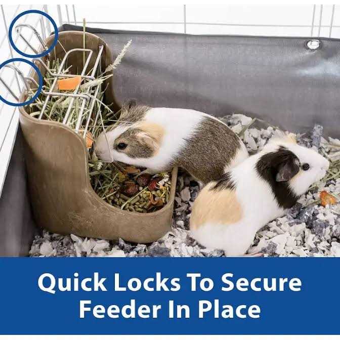 Hay Food Bin with Quick Locks Feeder C1973