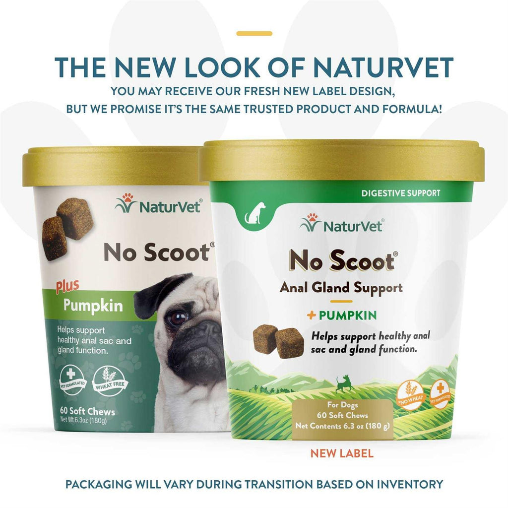 Pumpkin Soft Chew N15389