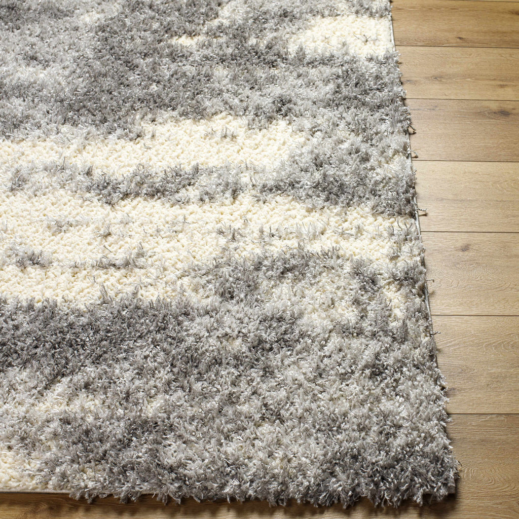Gray Brown Plush Pile Area Rug 2' x 3' P8812