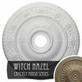 Ceiling Medallion T329