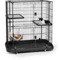 Cat Home J294535