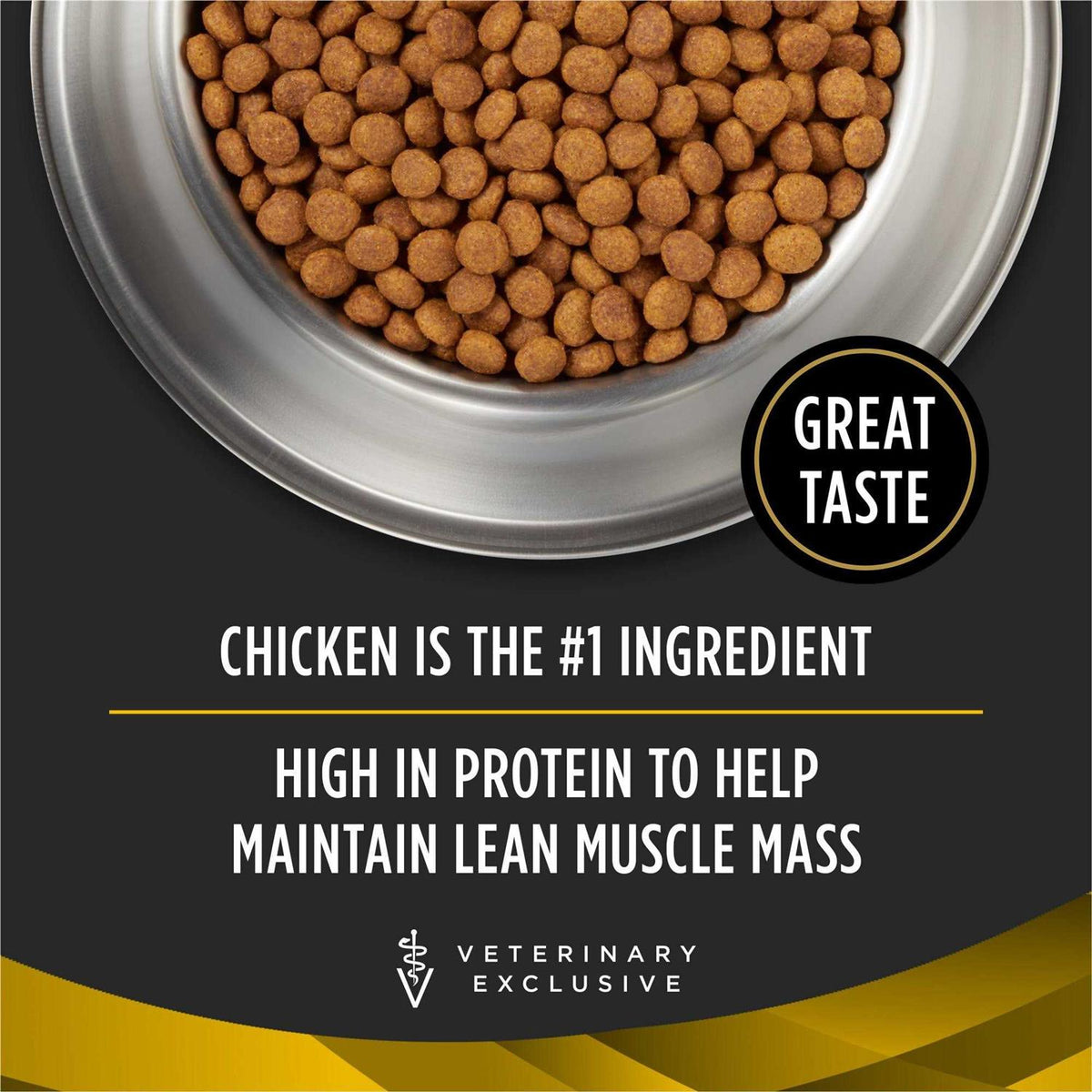 Dry Dog Food B958261
