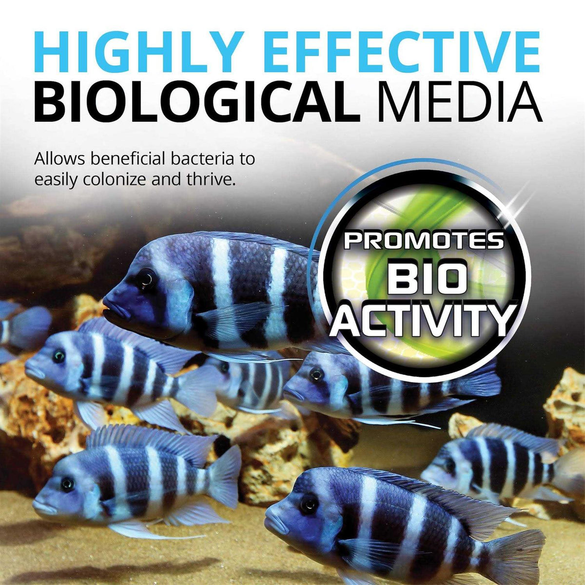 Bio Rings Media J6886