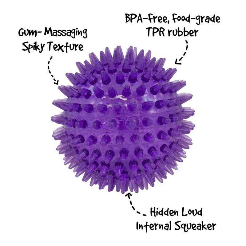 Squeaker Ball Dog Toy N462154