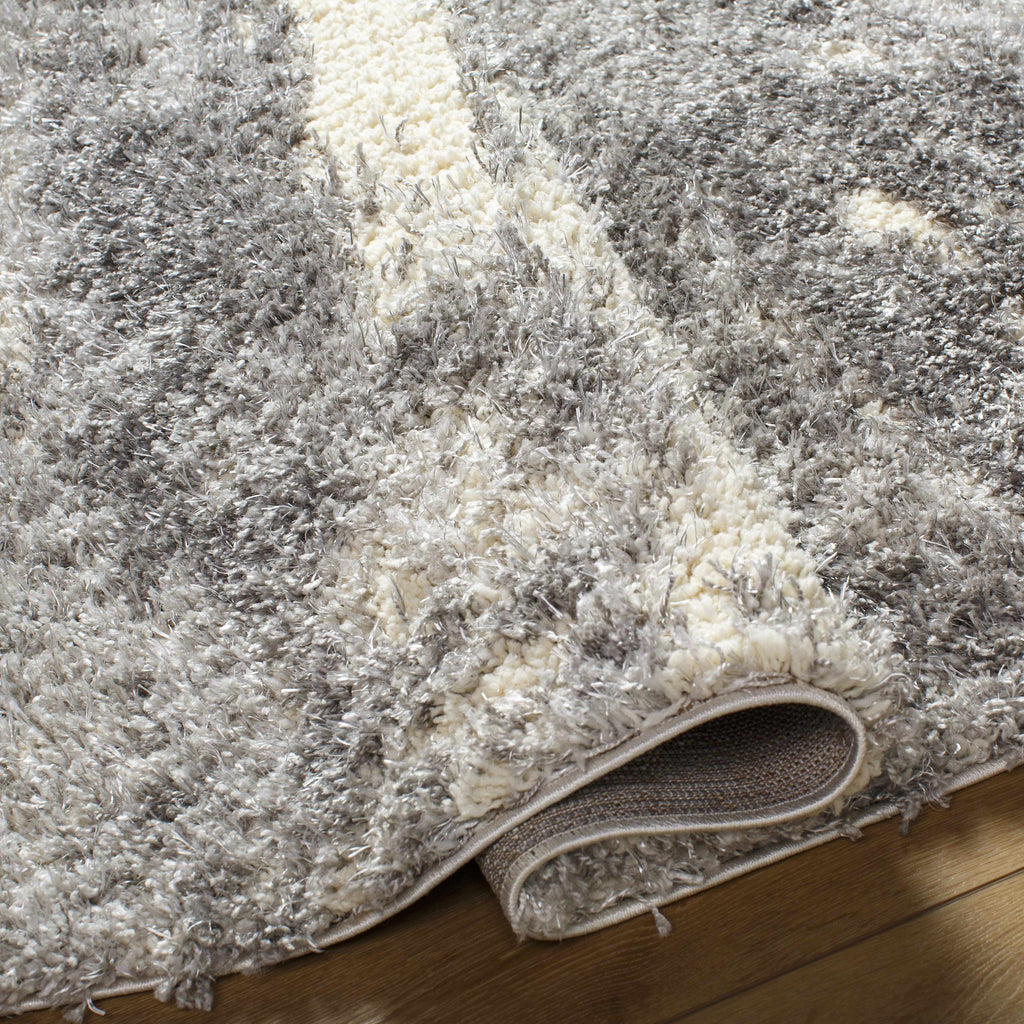 Gray Brown Plush Pile Area Rug 2' x 3' P8812