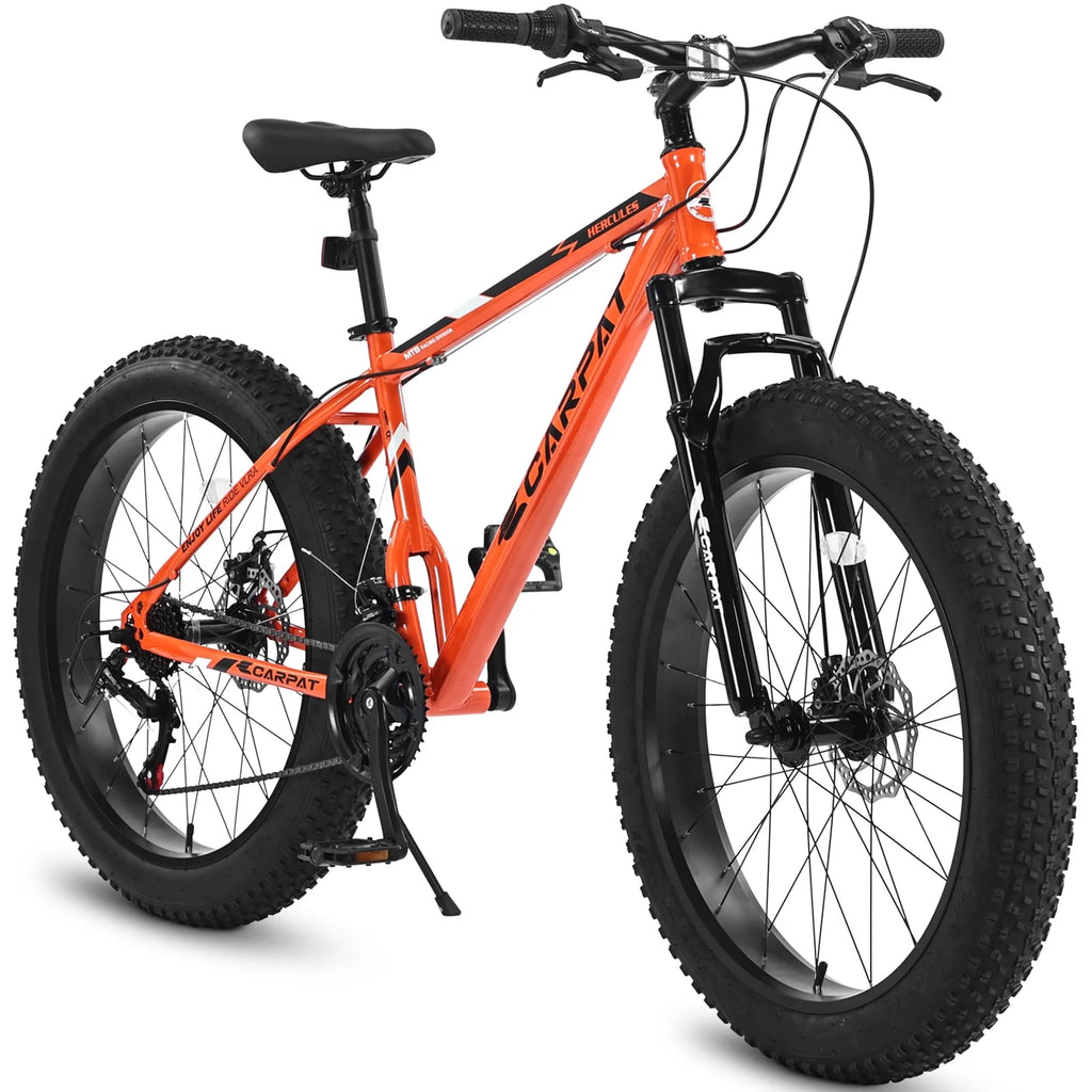 24 inch Fat Tire Mountain Bike A309885