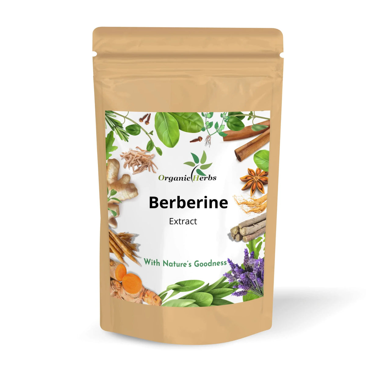 Berberine Extract Powder 100 Grams P439