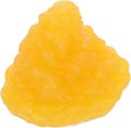 5 Pound Fat Anatomical Model TPE B7499