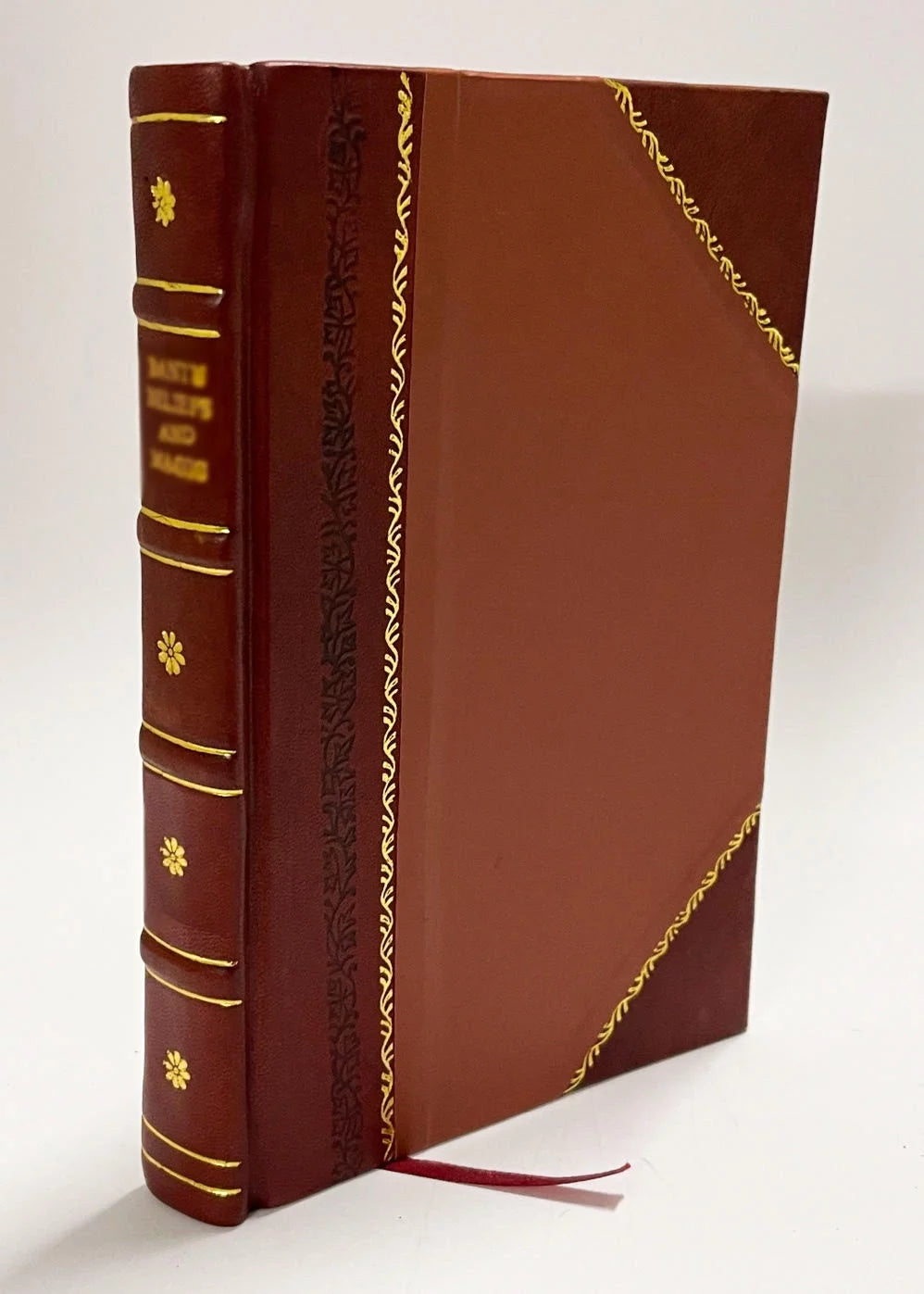 Geysers Leather Bound F6335