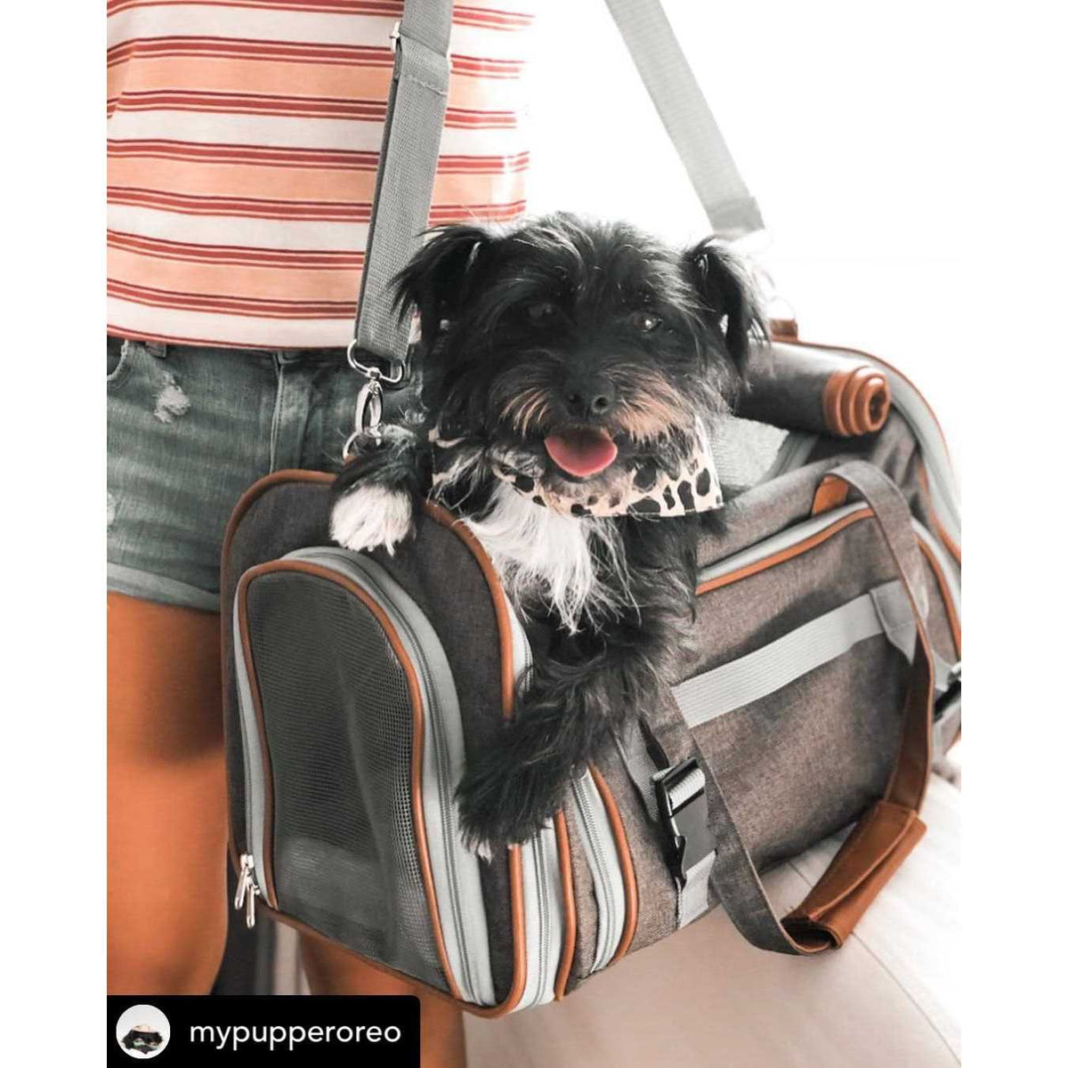 Expandable Airline Approved Pet Carrier G67000