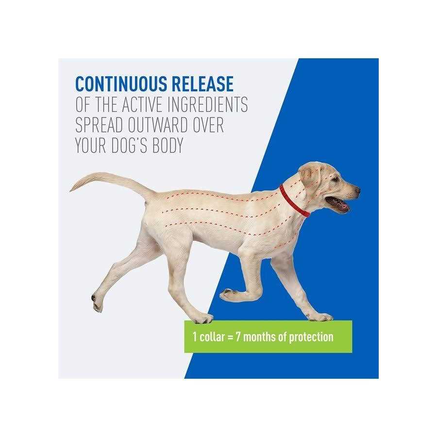 Flea and Tick Collar For Dogs A9907