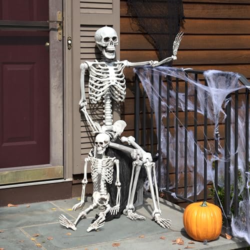 Life Size Posable Skeleton 2 Pack I28557