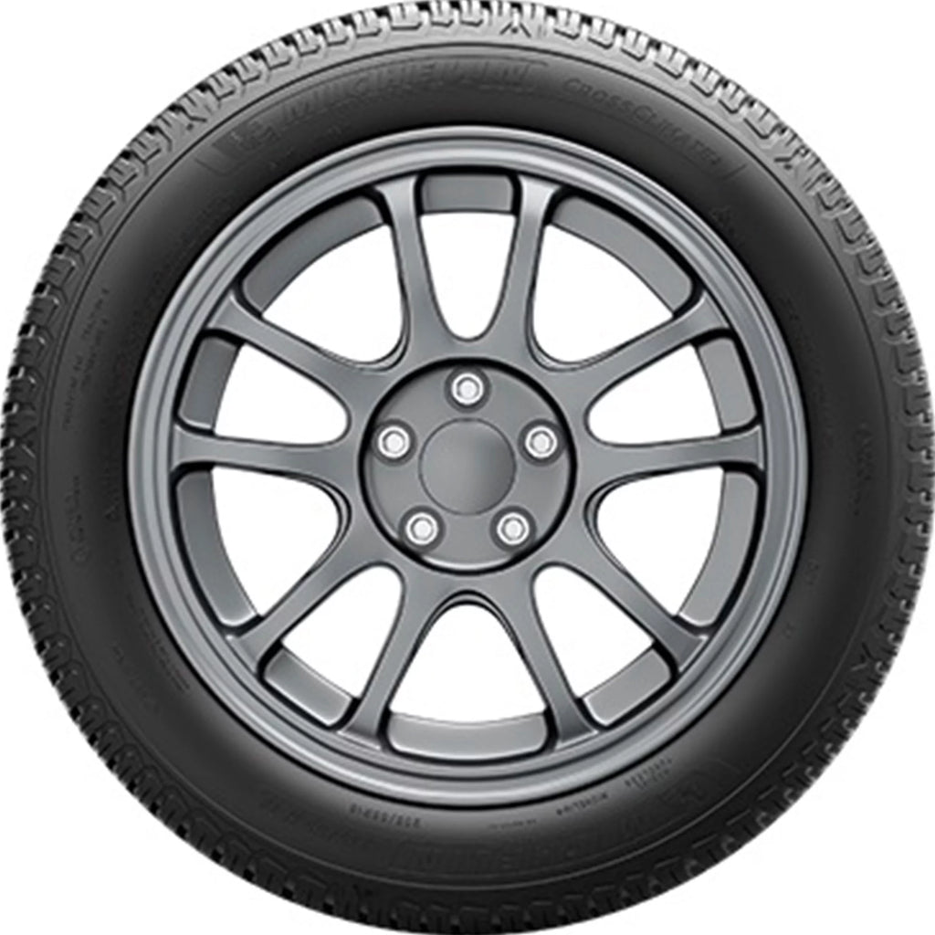 All Weather 225/55R17 101V XL SUV/Crossover Tire F114