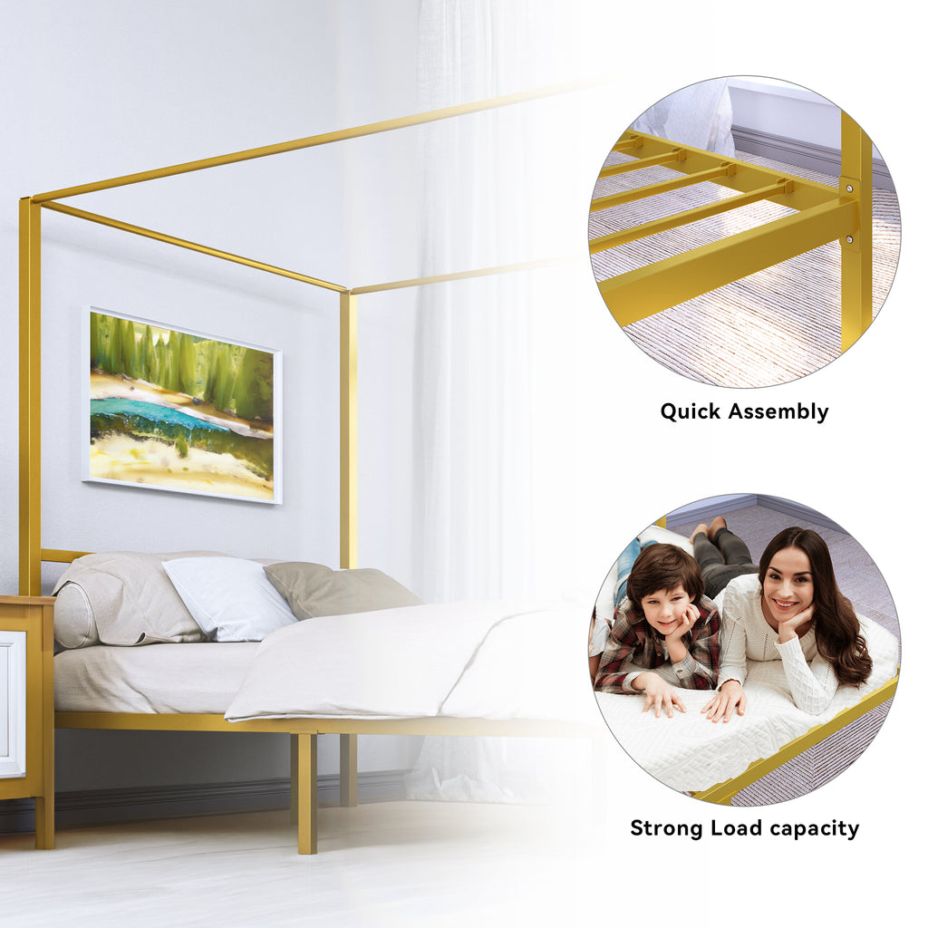Queen Size Gold Metal Canopy Bed Frame V839