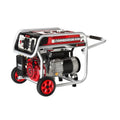 Gasoline Generator W6308