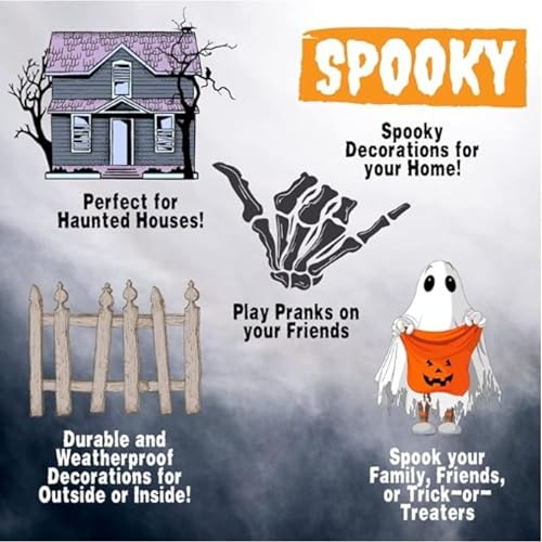 Life Size Posable Skeleton 2 Pack I28557
