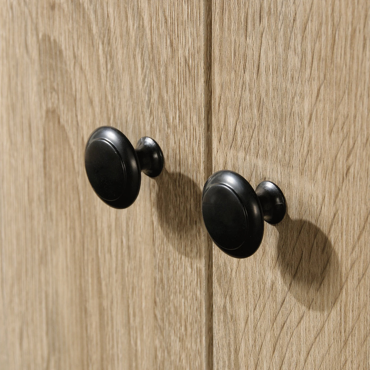 2-Door Storage Cabinet J1016