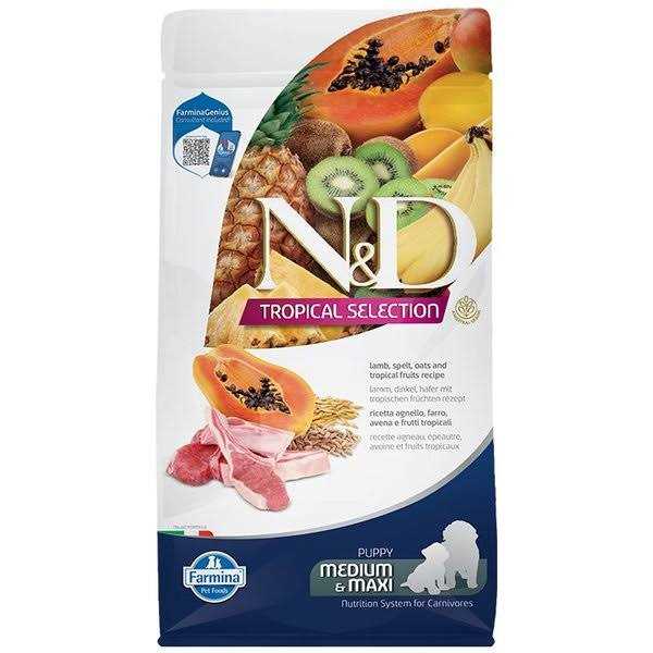 Salmon Adult Dog Food H49483