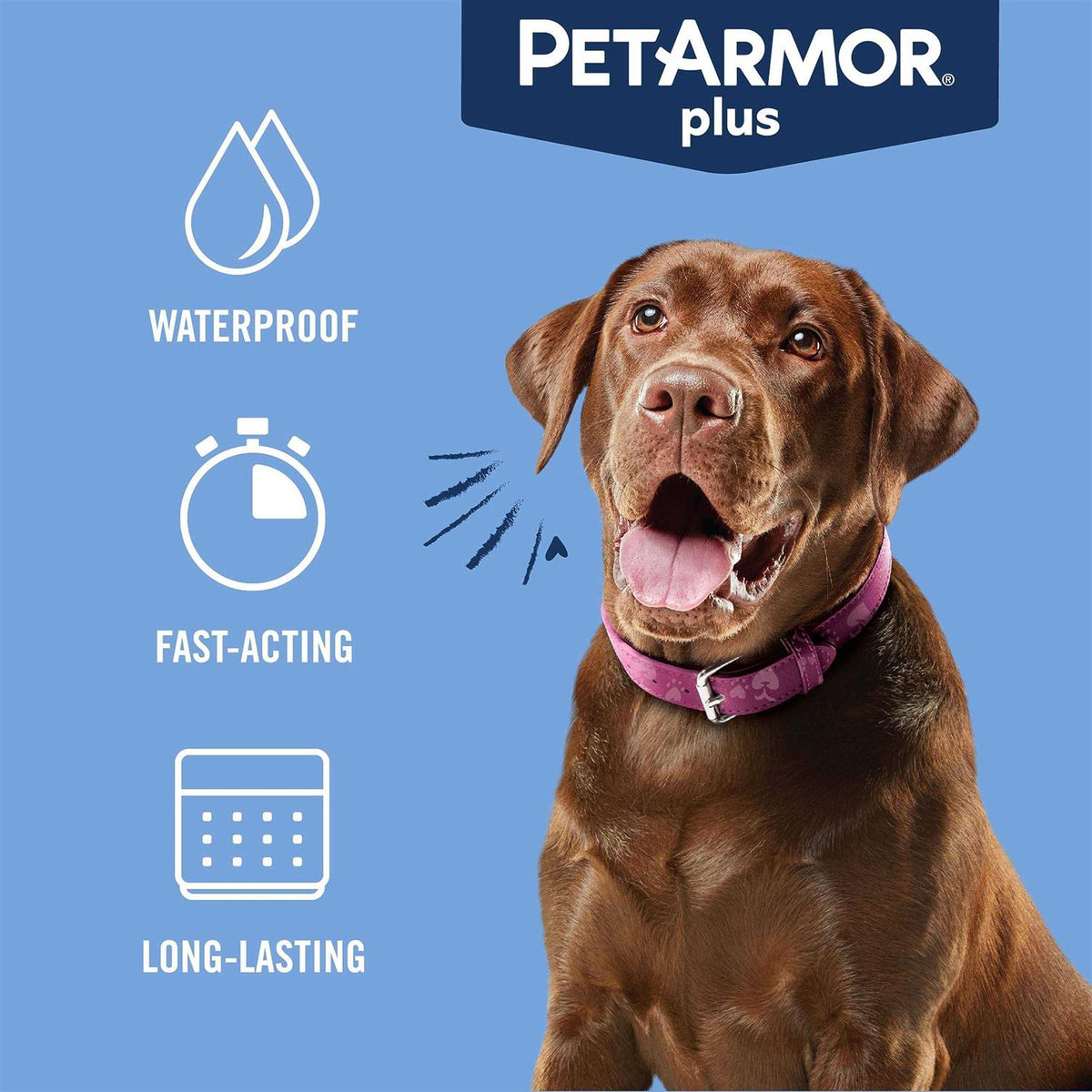 Flea and Tick Treatment for Large Dogs W17061