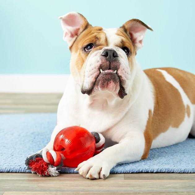 Strong Ball with Rope G238