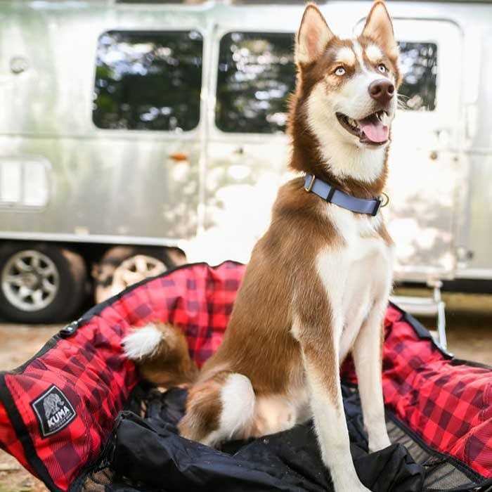 Dog Bed D933