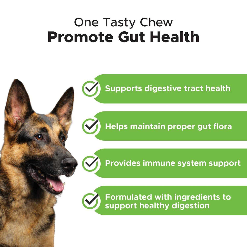 Probiotics for Dogs Digestive Enzymes N650