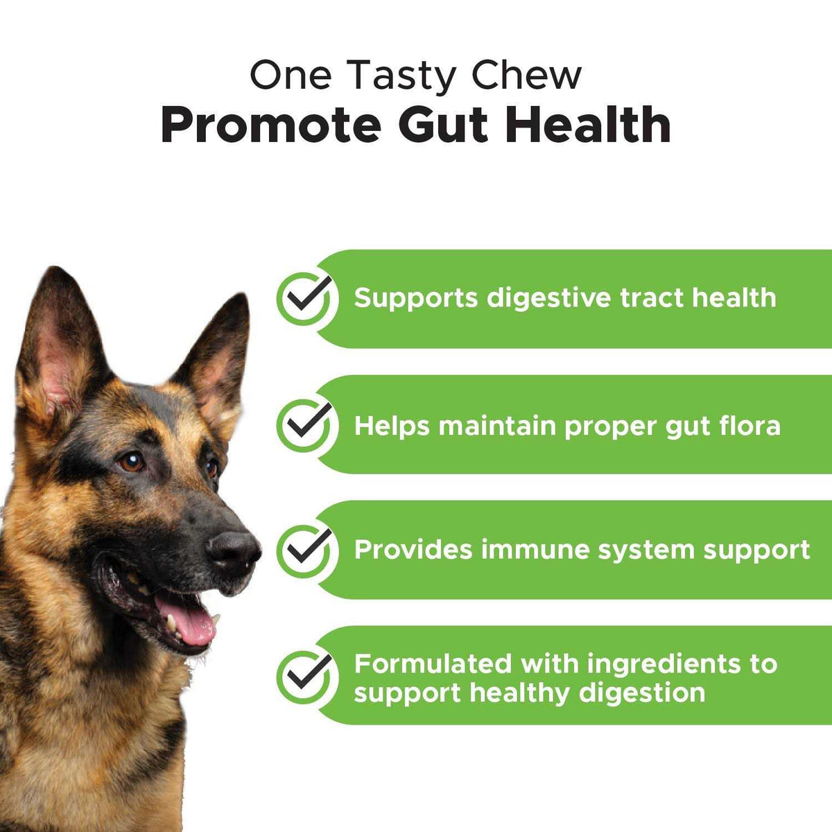 Probiotics for Dogs Digestive Enzymes N650
