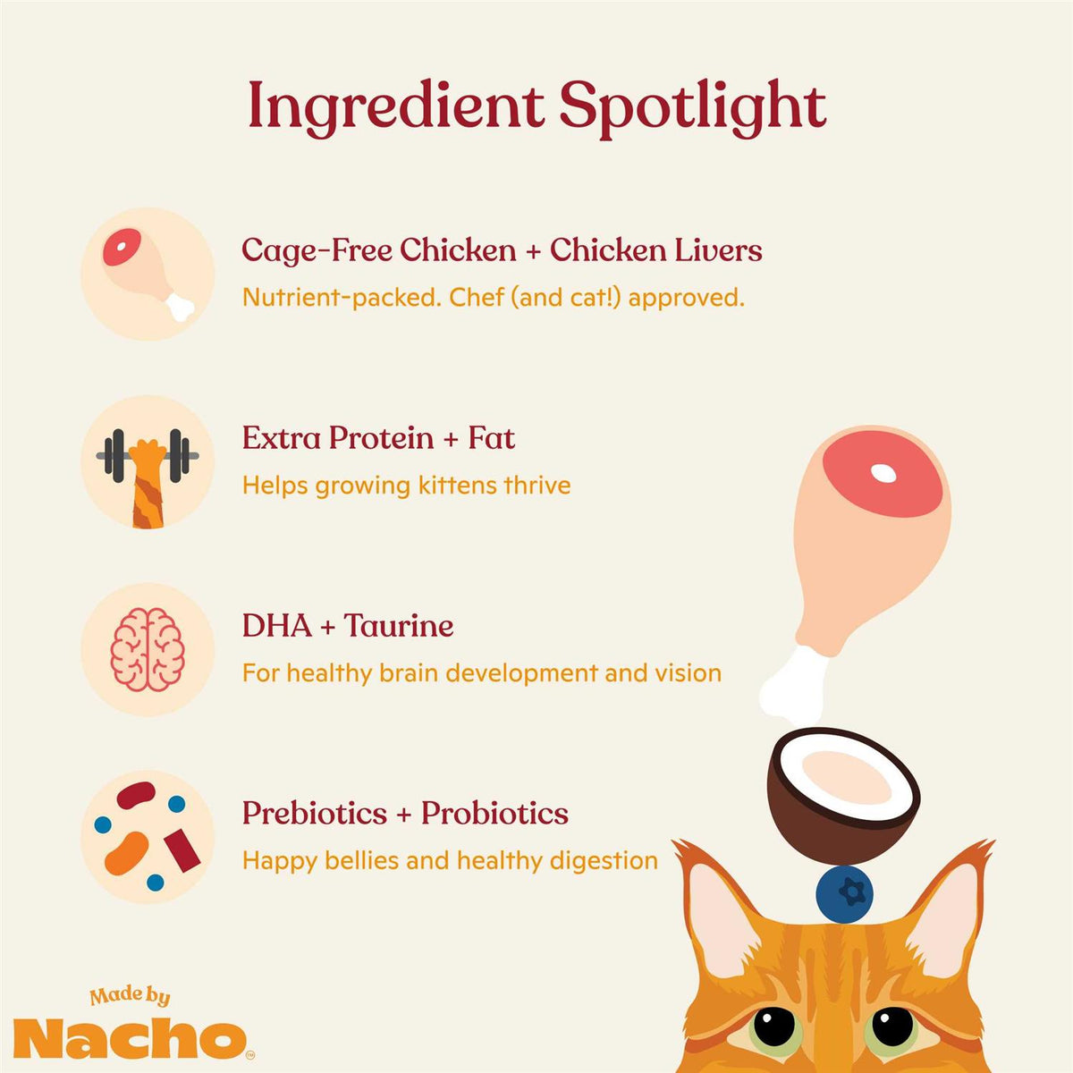 Chicken Liver & Bone Broth Dry Cat Food V619