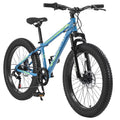 24 inch Fat Tire Mountain Bike A309885