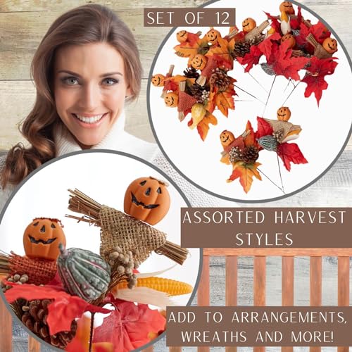 Set of 12 Assorted Pumpkin Face Picks 8-1/2 Inches High A314