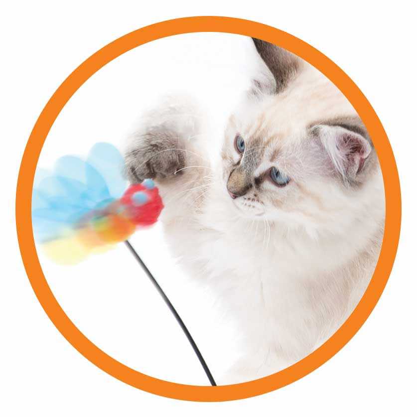 Interactive Cat Toy T570
