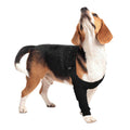 Dog Recovery Sleeve V520223