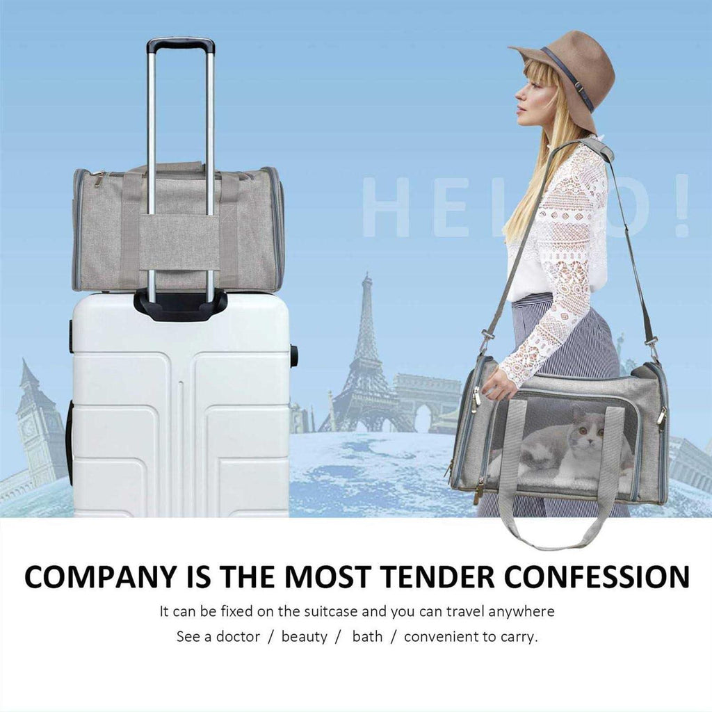 Pet Carrier for Cats, Dogs and Puppies C631