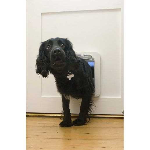 Microchip Pet Door J16304