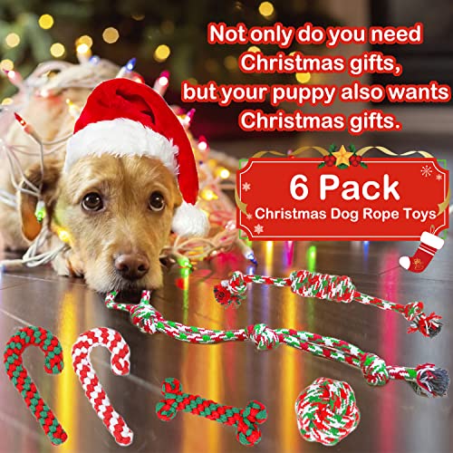 Christmas Dog Rope Toys 6 Pack X585