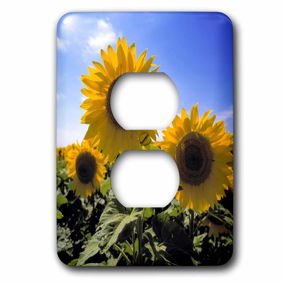Sunflowers in Cass County 2 Plug Outlet Cover J4516