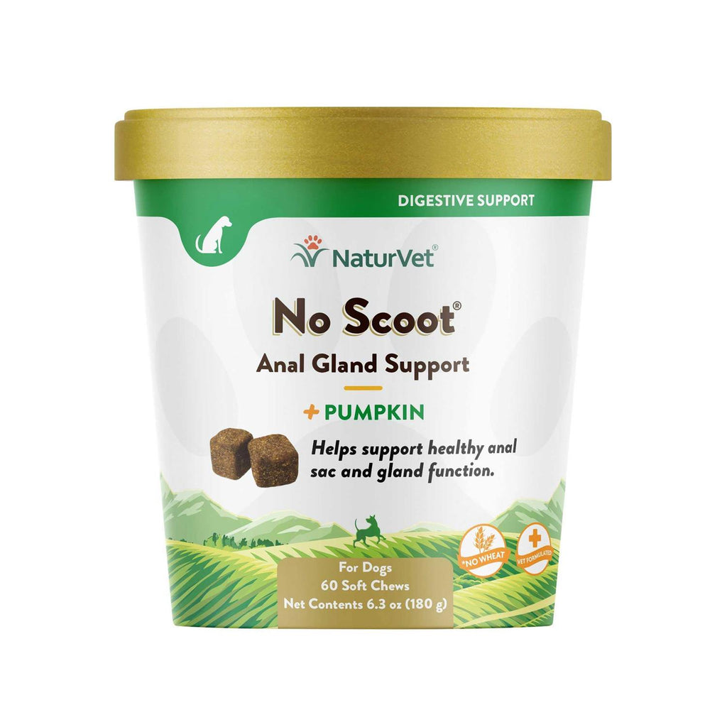 Pumpkin Soft Chew N15389