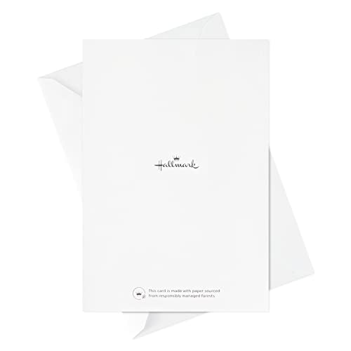 Boxed Christmas Cards Assortment, 6 Designs, 72 Cards with Envelopes Z28825
