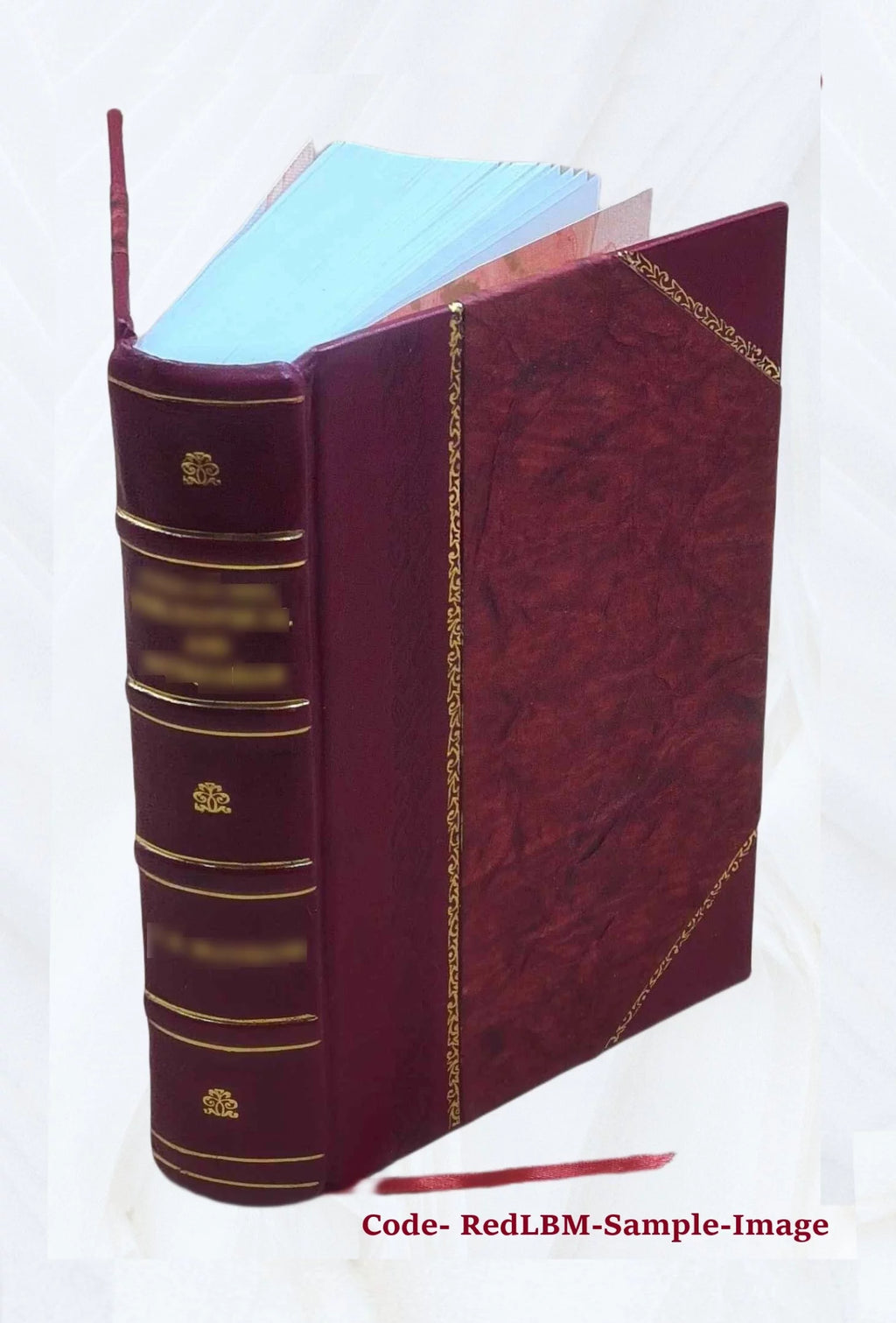 Piscataway and Woodbridge 1664-1714 Leather Bound F62681