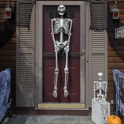Life Size Posable Skeleton 2 Pack I28557