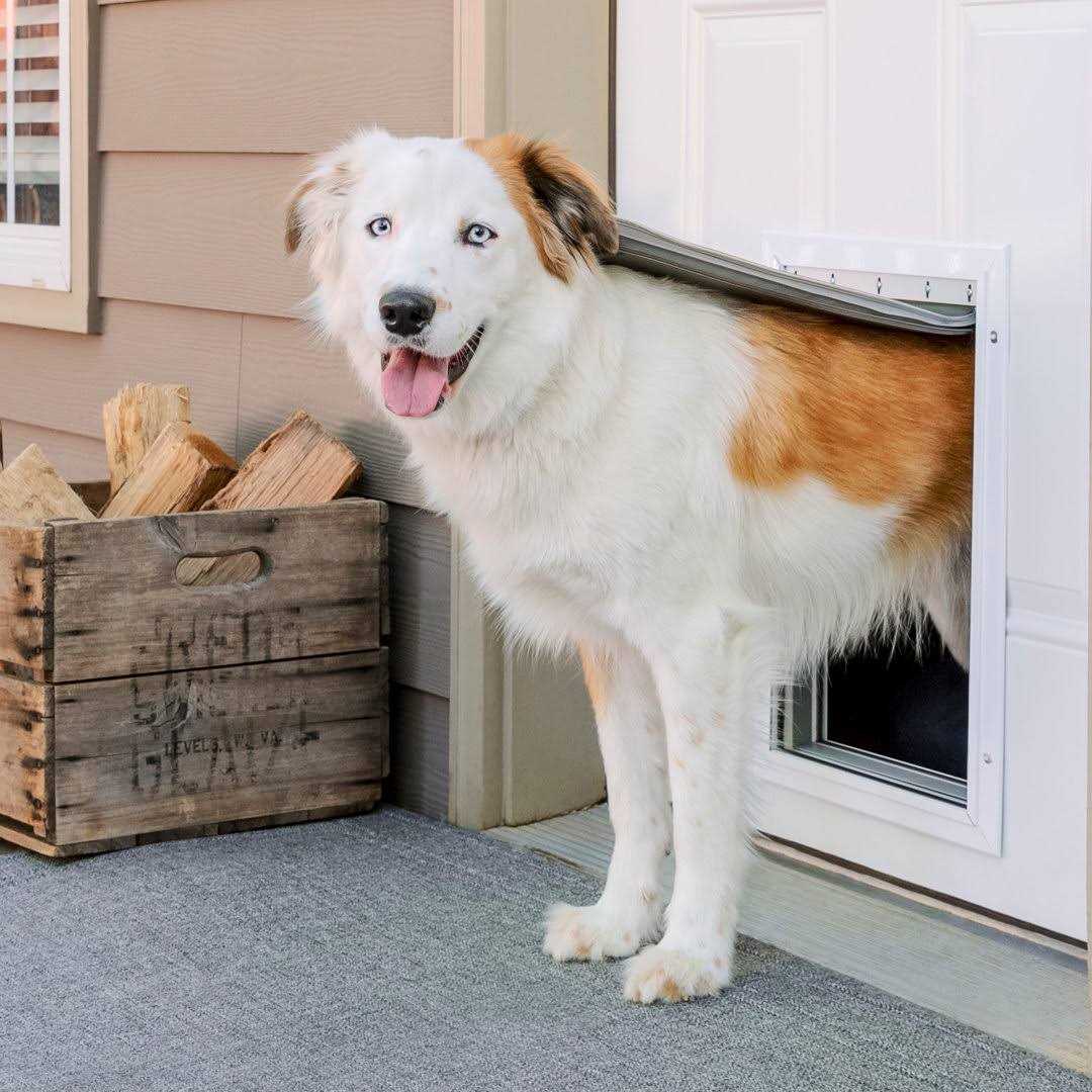 Aluminum Pet Door X8198