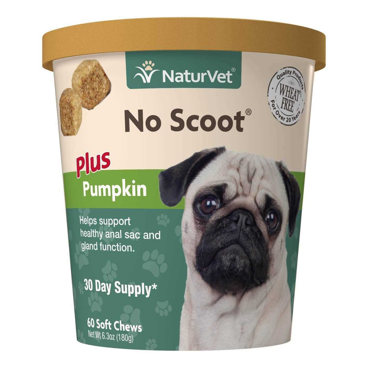 Pumpkin Soft Chew N15389