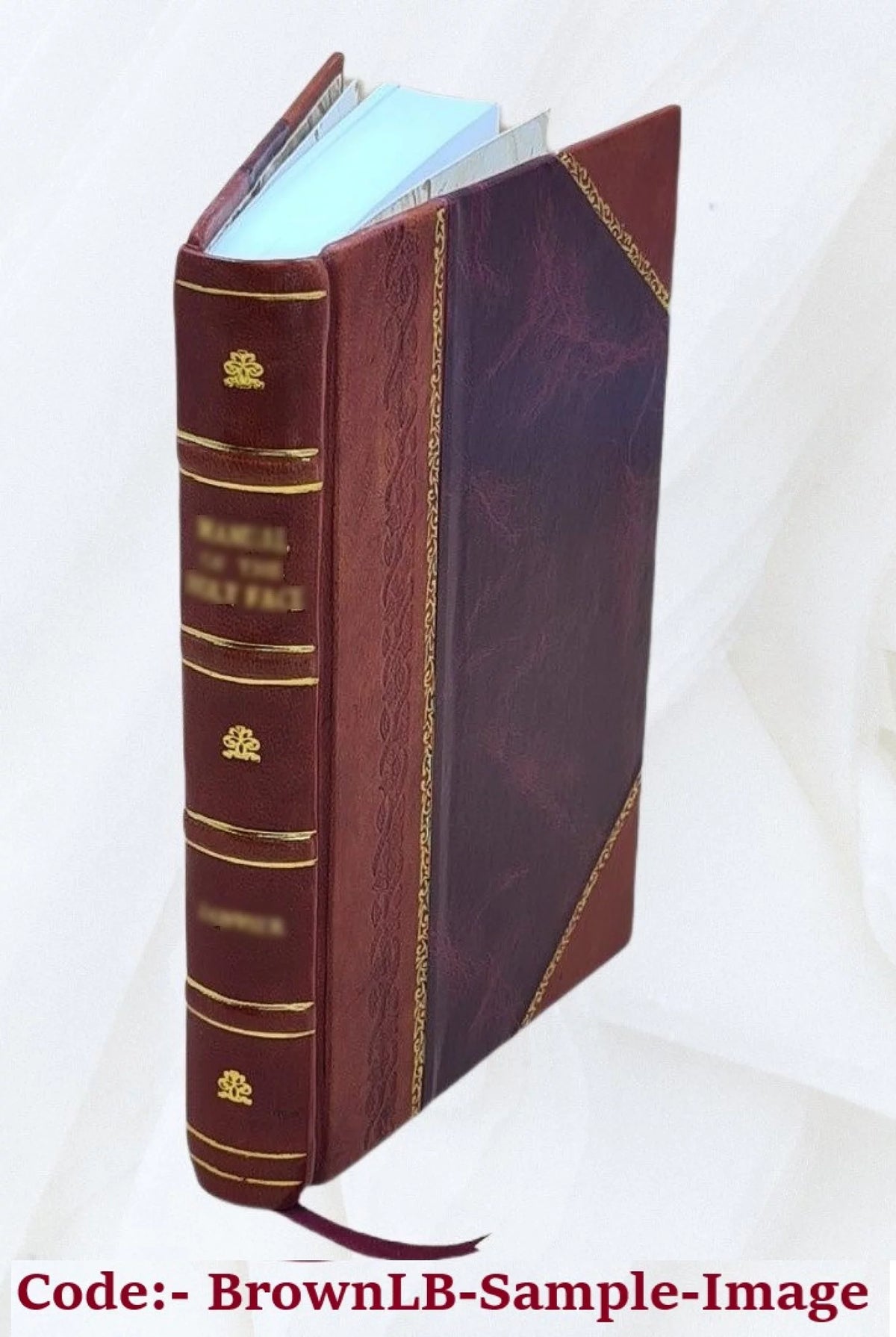 Satirical Journal Leather Bound Z1926